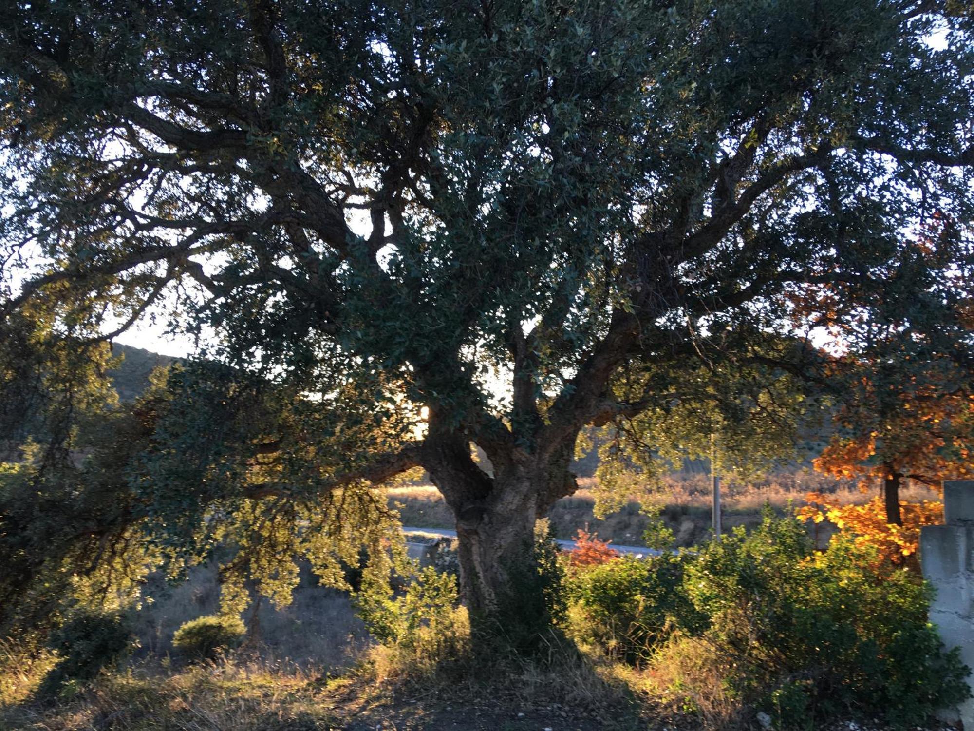Coeur De Nature Rasigueres Exteriör bild
